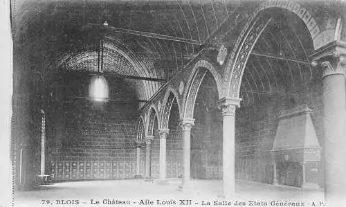 A816 Frankreich Blois Chateau Salle des Etats Schloss Generaux Vintage Postkarte