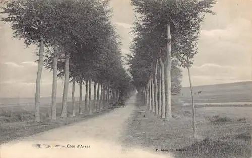 A818 Frankreich Doullens Cote d'Arras Baumstraße Vintage Postkarte