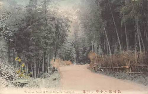 L269 Japan Bambuswald bei Magi Kodaira Nagasaki Vintage Postkarte