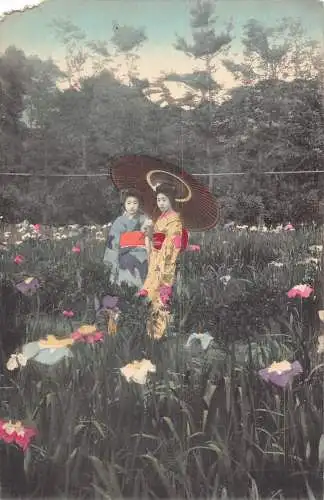 L266 Japan Zwei Geishas in traditioneller Tracht Kimono Blumenfeld Postkarte