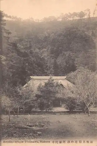 L267 Japan Hakone Amidaji Tempel Tonosawa Wald Vintage Postkarte