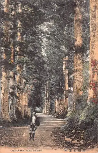 L267 Japan Cryptomeria Road Hakone Mann in traditioneller Tracht Vintage Postkarte
