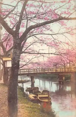 L266 Japan Kirschblütenbaum Sakura Boote Brücke Vintage Postkarte
