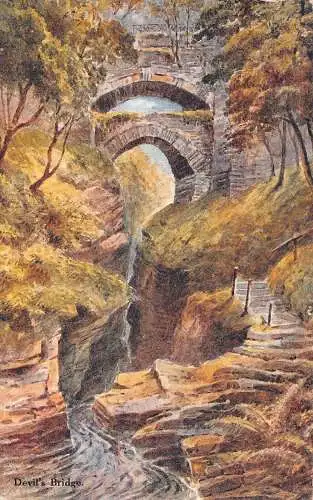 L245 Wales Devil's Bridge Trees River Vintage Postkarte