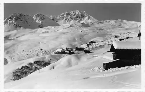 A187 Schweiz Arosa Alpenroesli Infang Berg Schnee Vintage Postkarte