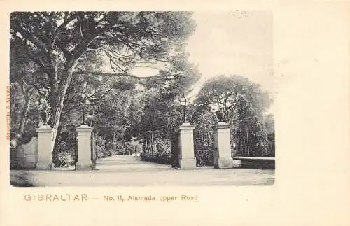 A189 Gibraltar No 11 Alameda Upper Road Trees Vintage Postkarte