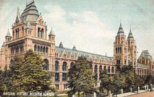 A023 England London Natural History Museum Vintage Postkarte