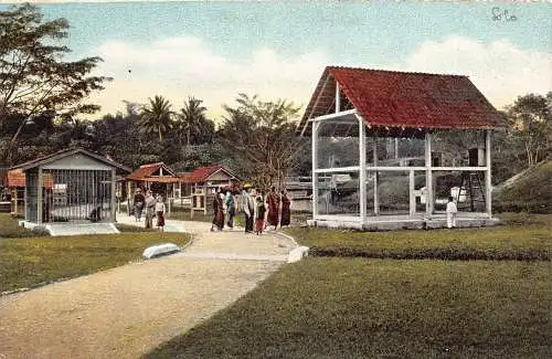 L282 Indonesien Niederländisch-Ostindien Surabaya Bau Häuser Postkarte