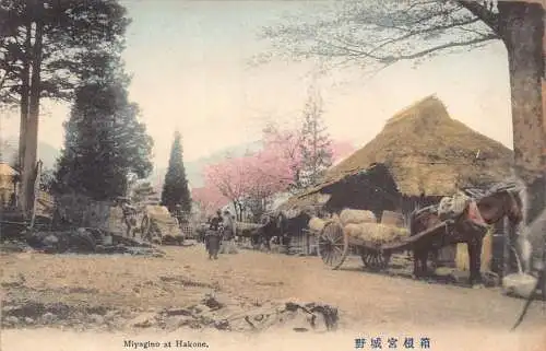 L276 Japan Miyaino bei Hakone Pferdekutsche mit Heu Vintage Postkarte