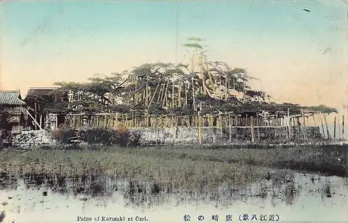 L276 Japan Pain of Karasaki at Omi Vintage Postkarte