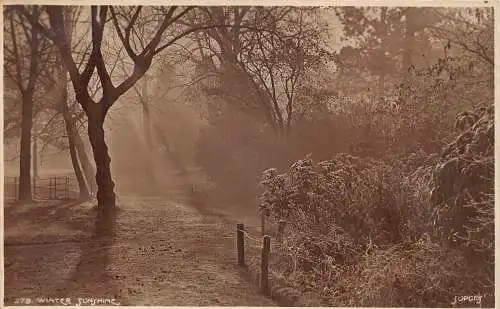 A023 England Winter Sunshine in an Unidentified Park Vintage Postkarte