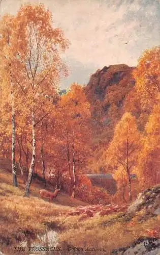 A022 Schottland Goldener Herbst auf den Trossachs Landschaftsgemälde signierte Postkarte