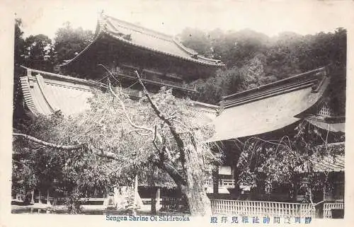 L274 Japan Sengen Schrein von Shidzuoka Vintage Postkarte