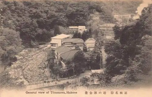 L274 Japan Gesamtansicht Tonosawa Hakone Vintage Postkarte