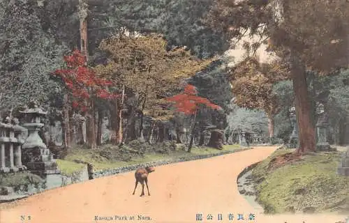 L273 Japan Kasuga Park at Nara Trees Deer Vintage Postkarte