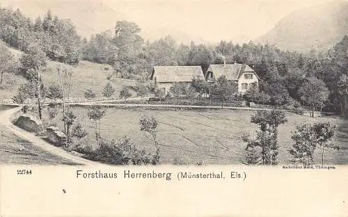 A827 Deutschland Forsthaus Herrenberg Münsterthal Vintage Postkarte