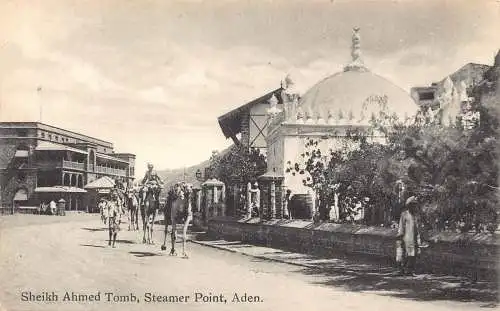A831 Jemen Steamer Point Scheich Ahmed Grab Kamele Vintage Postkarte