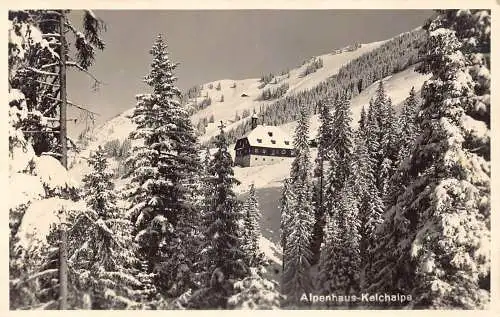 L098 Österreich 1950 Alpenhaus Kelchalpe Wald Schnee Vintage Postkarte