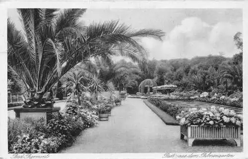 L046 Deutschland Bad Pyrmont Partinaus dom Palmengarten Vintage Postkarte