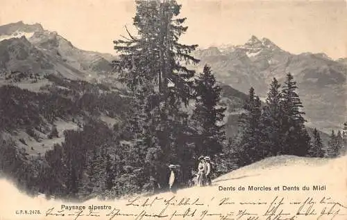 L047 Schweiz 1905 Dents de Morcles et Dents du Midi Vintage Postkarte