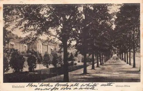 L123 Deutschland 1920 Bielefeld Ulmen Ale Baumstraße alte Postkarte