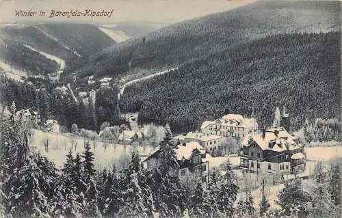 L123 Deutschland 1917 Winter in Baerenfels-Kipsdorf alte Postkarte