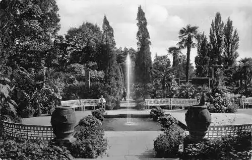 L123 Deutschland 1956 Bad Pyrmont Kurpark im Palmgarten Founatin Vintage Postkarte