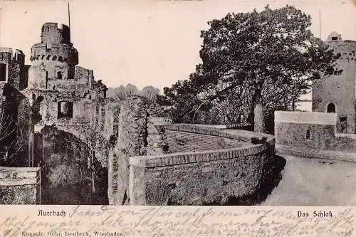 L122 Deutschland 1905 Auerbach Das Schloss Vintage Postkarte