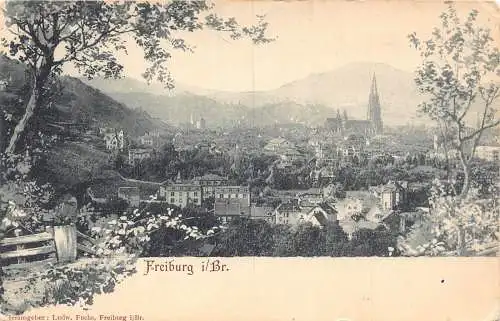 L121 Deutschland 1900 Freiburg im Breisgau Panoramablick Vintage Postkarte