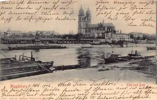L119 Deutschland 1902 Magdeburg Elbe un Dom Kirche Boote Vintage Postkarte