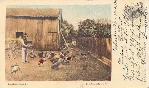 A193 USA 1902 On an American Farm Private Mailing Card Vintage Postkarte