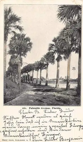 A194 US 1902 Palmatto Avenue Florida Private Mailing Card Vintage Postkarte