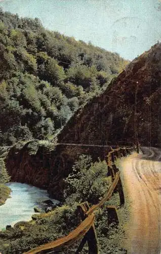 A195 Landschaft 1909 Straße Fluss Klippe Wald Zaun Vintage Postkarte