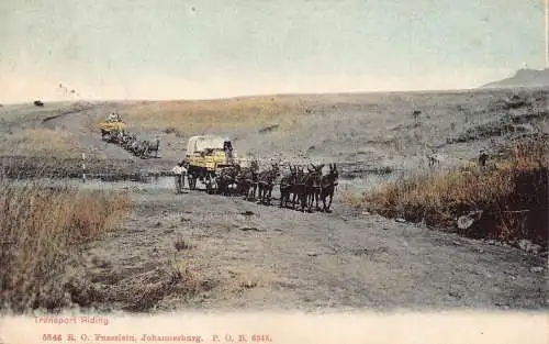 L486 Südafrika Transport Reiten Vintage Postkarte