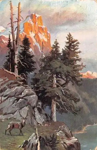 A196 Landschaft Hirsch Klippe Wald Berg Fluss Vintage Postkarte