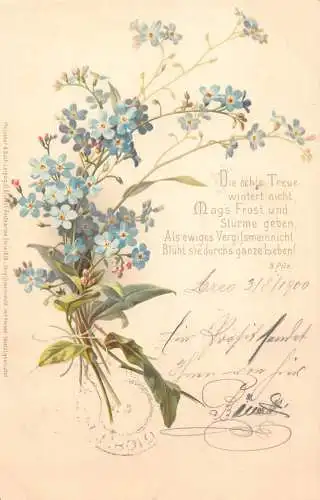 A196 Vergissmeinnicht Blumenstrauß 1900 Gedicht von H Pilz Vintage Postkarte