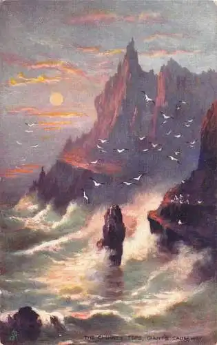 A198 Irland 1911 Chimney Tops Giant's Causeway Cliffs Moonlight Birds Postkarte