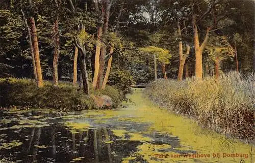 A205 Niederlande 1926 Park Westhove bij Domburger Wald Postkarte