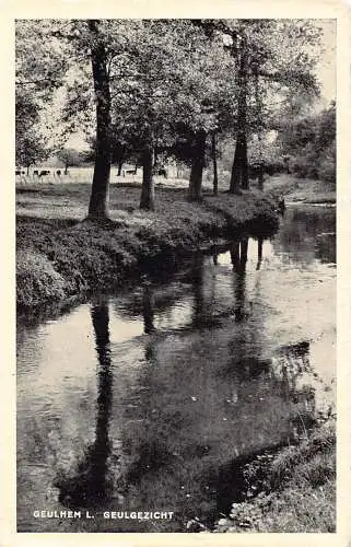A206 Niederlande Geulhem L Geulgezicht Wald Fluss Vintage Postkarte