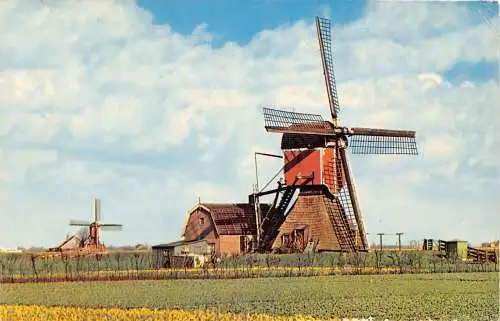 A205 Niederlande Niederländische Windmühlen Vintage Postkarte