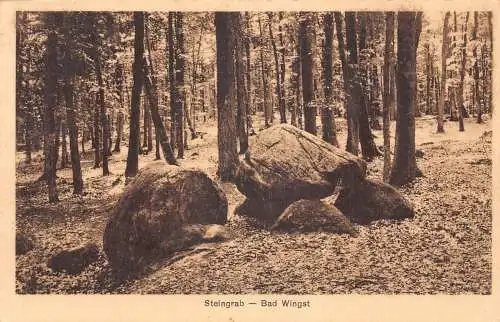 A208 Deutschland 1926 Steingrab Bad Wingst Felsenwald Vintage Postkarte