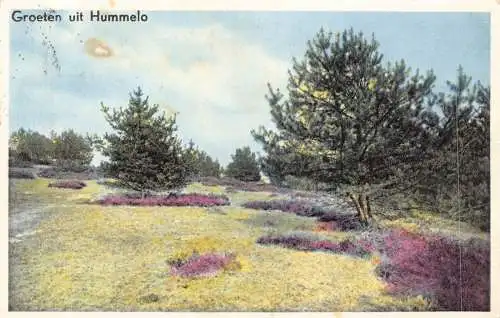 A207 Niederlande 1958 Groeten uit Hummelo Wald Vintage Postkarte