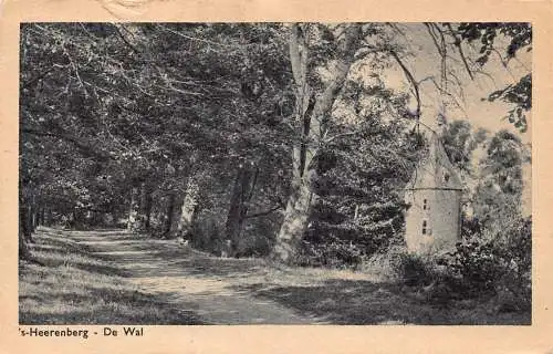 A207 Niederlande 1966er Jahre - Heerenberg De Wal Forest Road Vintage Postkarte