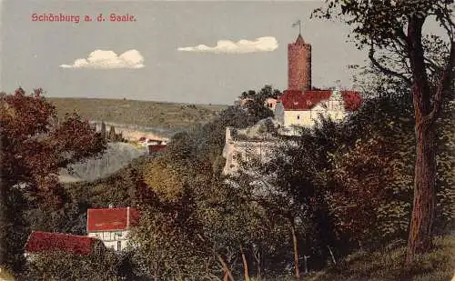 A208 Deutschland Schönburg und Saale Schloss Vintage Postkarte