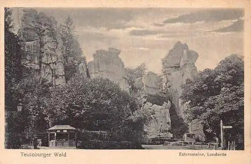 A209 Deutschland Teutonburger Wald Hotel und Pension Externstein Vintage Postkarte