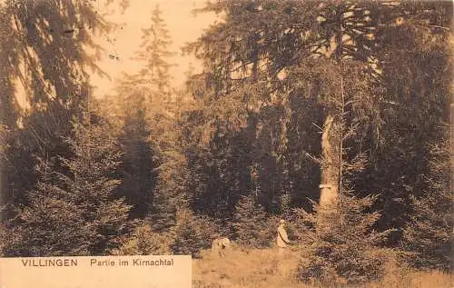 A210 Deutschland 1911 Villingen Partie im Kirnachtal Wald Vintage Postkarte