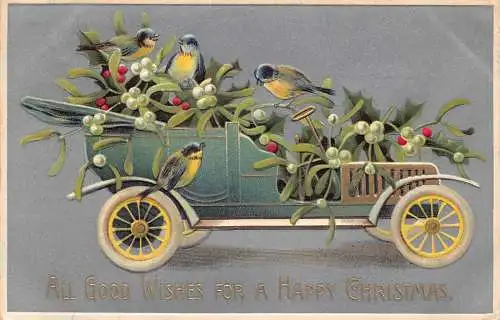 L293 Weihnachtsgrüße 1910 Vögel Mistelzweig Cabrio Auto Postkarte