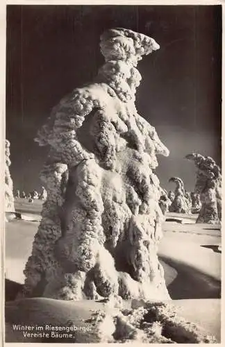 L124 Deutschland 1930 Winter im Riesengebirge Vereiste Baeume Baum Vintage Postkarte