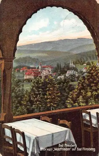 L050 Deutschland 1908 Bad Flinsberg Ansicht Waldfrieden Restaurant Vintage Postkarte