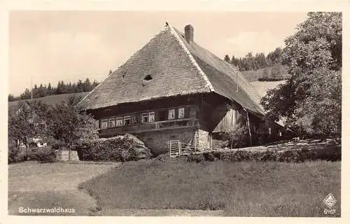 A213 Deutschland Schwarzwaldhaus Echtfoto Vintage Postkarte